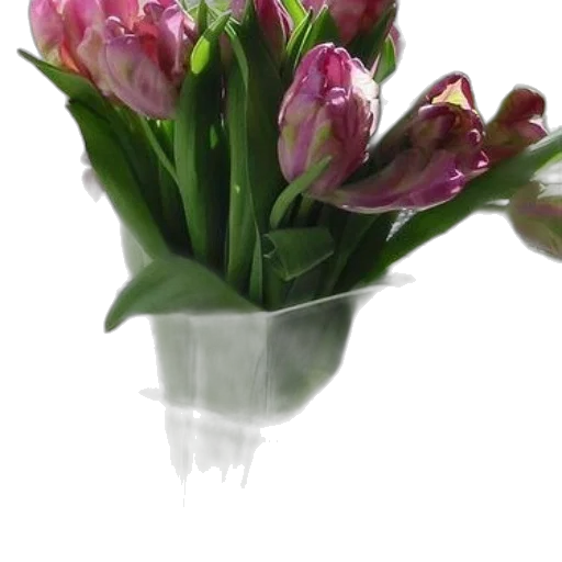 flower, crown, jewelry, photorealistic transparent PNG cut-out