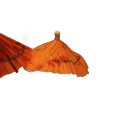 umbrella, dress, staff, hair transparent PNG cut-out
