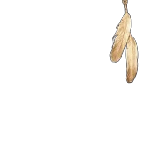jewelry, staff, food, hair transparent PNG cut-out