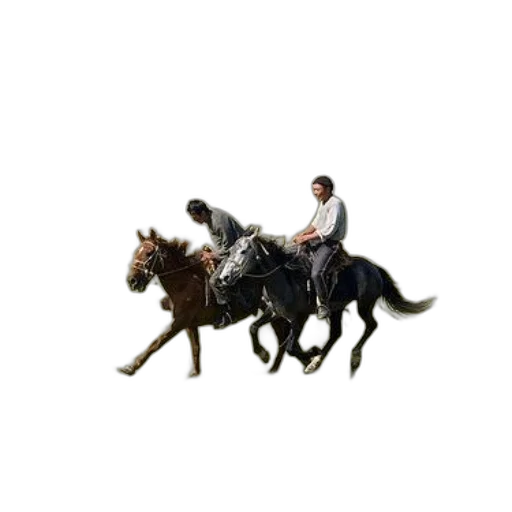 staff, animal, jacket, hair transparent PNG cut-out