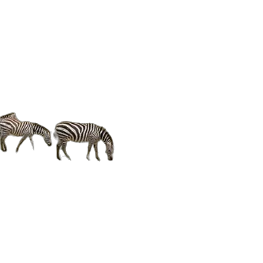 animal, creature, furniture, jewelry transparent PNG cut-out