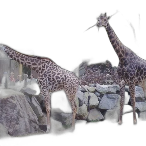 animal, creature, 3d render, concept art transparent PNG cut-out
