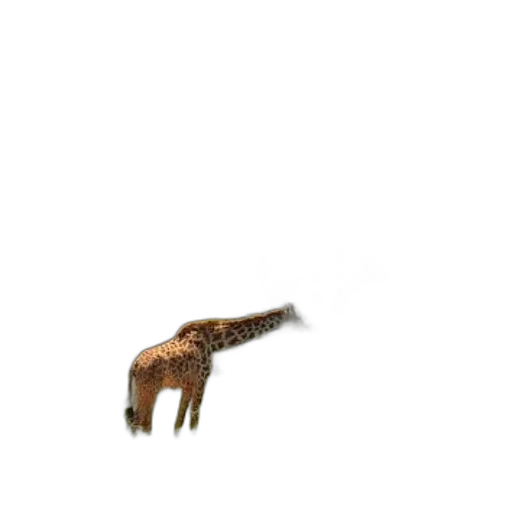 animal, creature, dragon, hair transparent PNG cut-out