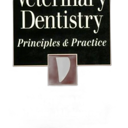 jewelry, cover, veterinary, dentistry transparent PNG cut-out