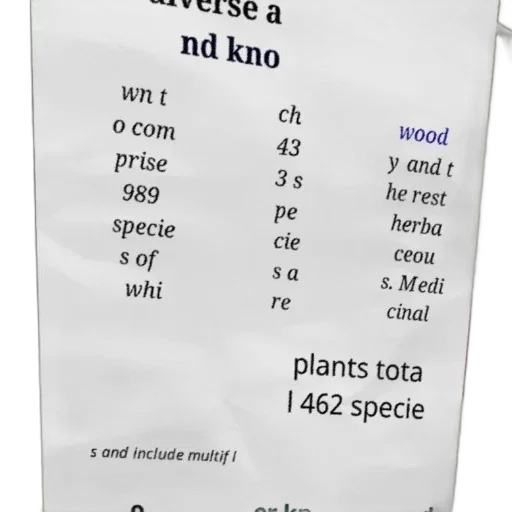 tree, jewelry, diverse, known transparent PNG cut-out