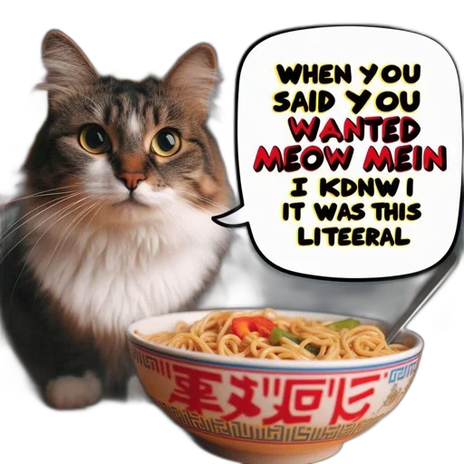 food, animal, cat, wearing transparent PNG cut-out