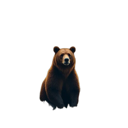 animal, creature, face, mask transparent PNG cut-out