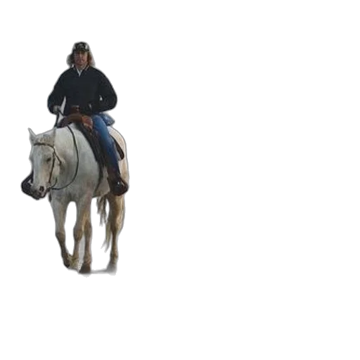 animal, hat, staff, jacket transparent PNG cut-out