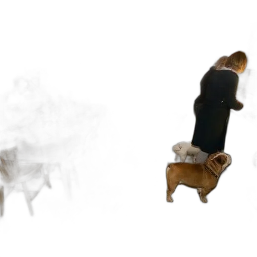 furniture, staff, animal, creature transparent PNG cut-out