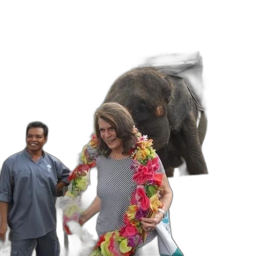 animal, staff, forest, woman transparent PNG cut-out