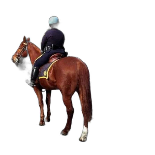 animal, hat, jacket, staff transparent PNG cut-out