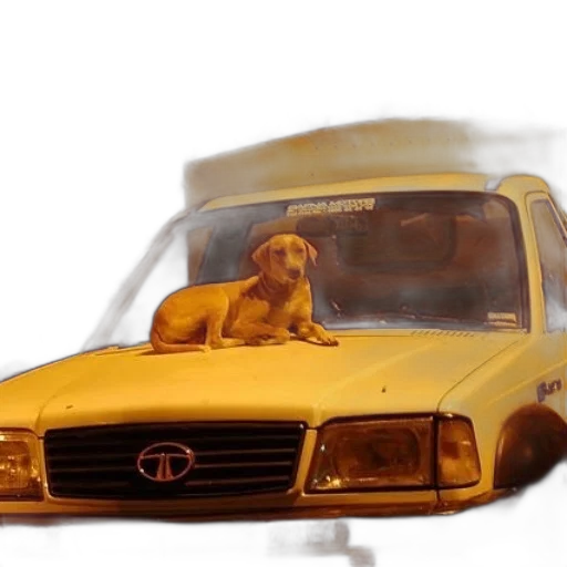 car, animal, photorealistic, concept art transparent PNG cut-out