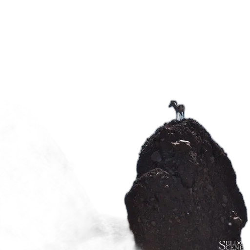 hat, hair, staff, tree transparent PNG cut-out