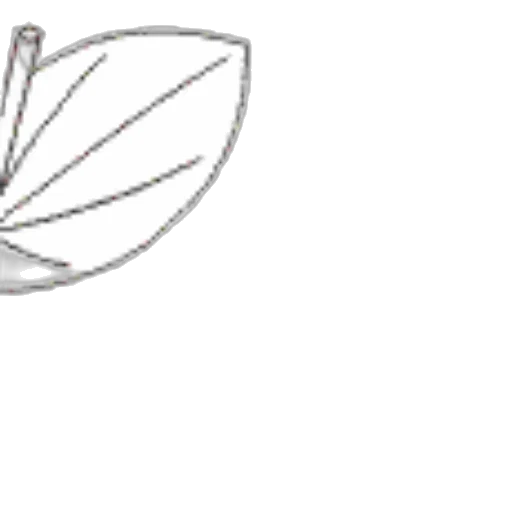jewelry, crown, umbrella, flower transparent PNG cut-out