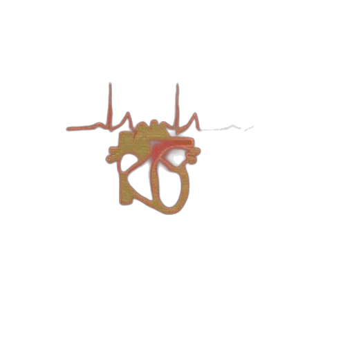 crown, hair, jewelry, hat transparent PNG cut-out