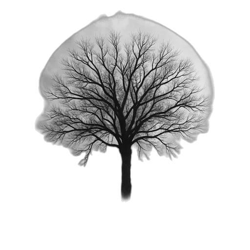 tree, crown, umbrella, hat transparent PNG cut-out