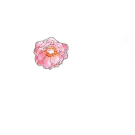 flower, crown, jewelry, creature transparent PNG cut-out