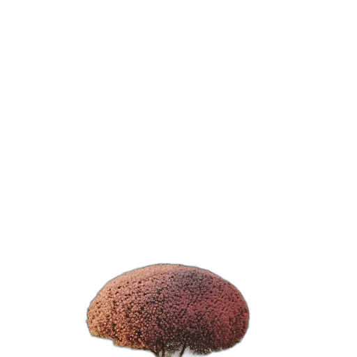 hat, hair, food, tree transparent PNG cut-out