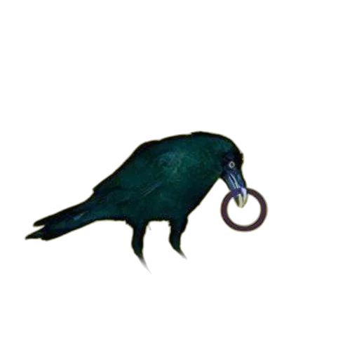 jewelry, staff, animal, weapon transparent PNG cut-out
