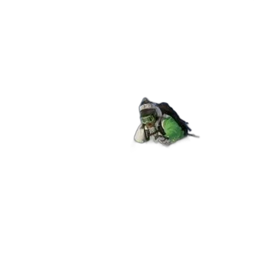 animal, dragon, creature, hat transparent PNG cut-out