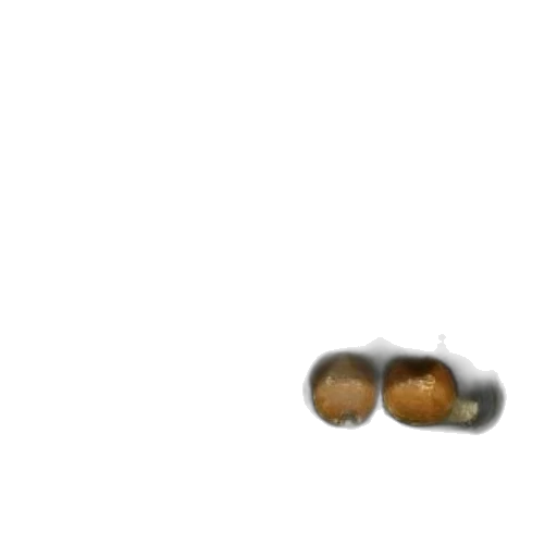 food, jewelry, crown, shoes transparent PNG cut-out