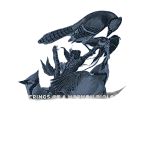 dragon, creature, animal, weapon transparent PNG cut-out