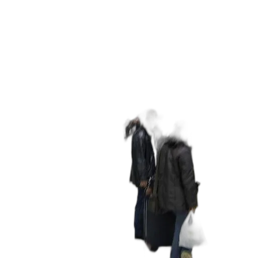 jacket, dress, hat, shoes transparent PNG cut-out