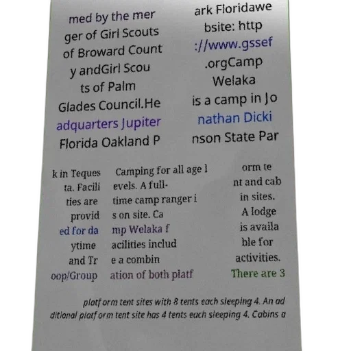 poster, camp, welaka, featuring transparent PNG cut-out