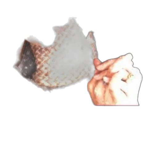 jewelry, food, hat, umbrella transparent PNG cut-out