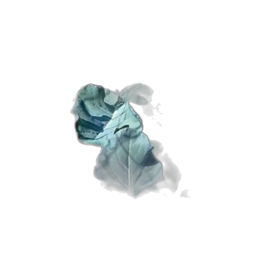 mask, face, dragon, flower transparent PNG cut-out