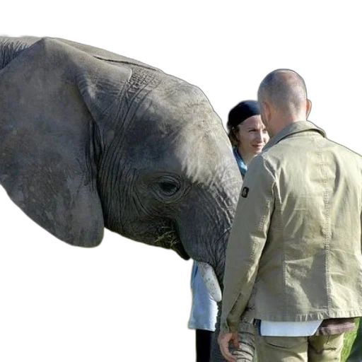 animal, creature, jacket, photorealistic transparent PNG cut-out