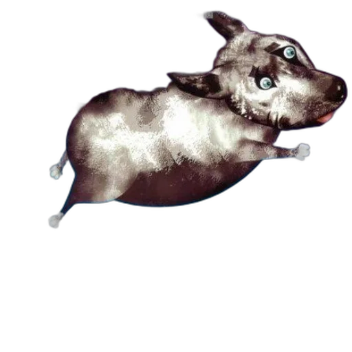 animal, staff, creature, face transparent PNG cut-out