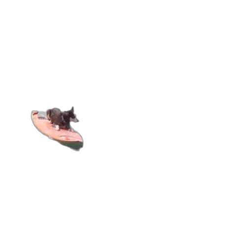 shoes, hat, dragon, creature transparent PNG cut-out