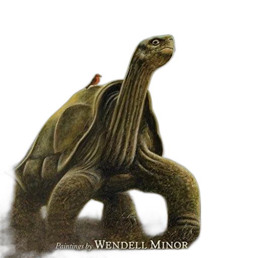 animal, creature, dragon, photorealistic transparent PNG cut-out
