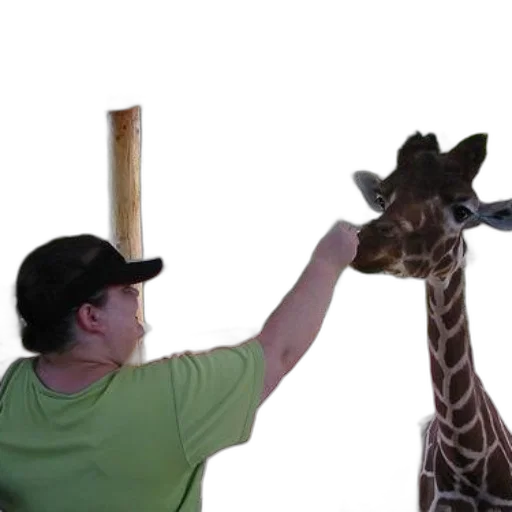 animal, staff, creature, weapon transparent PNG cut-out