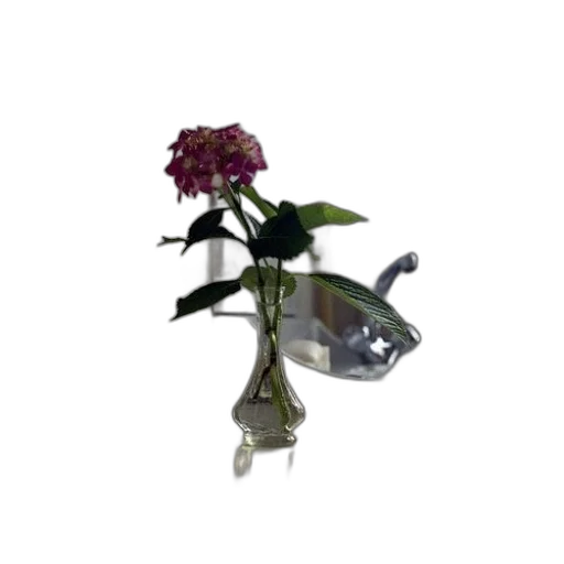 flower, jewelry, staff, crown transparent PNG cut-out
