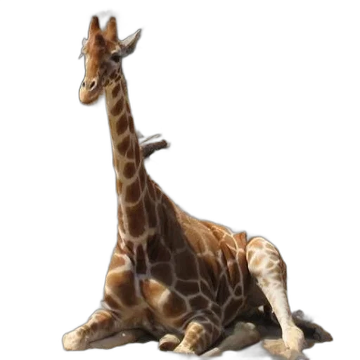 animal, creature, staff, weapon transparent PNG cut-out
