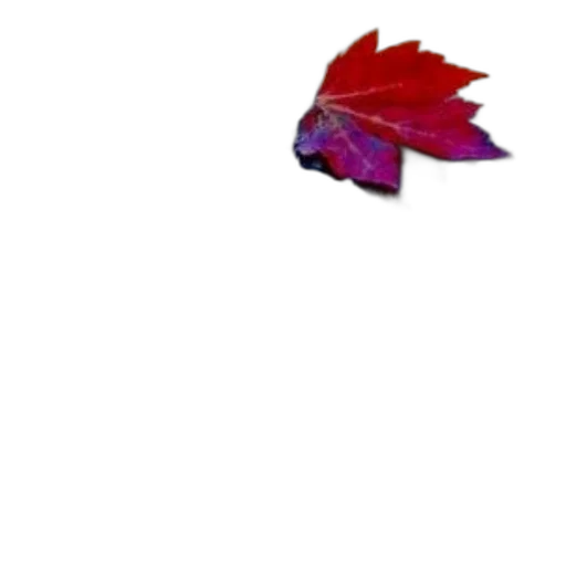 dragon, creature, animal, weapon transparent PNG cut-out