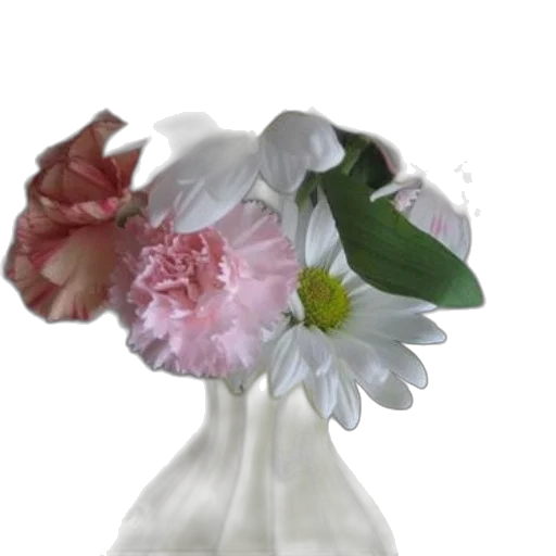 flower, crown, hat, jewelry transparent PNG cut-out
