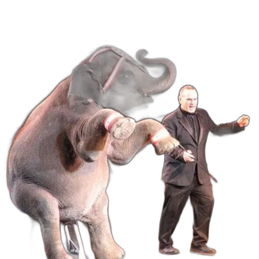 animal, creature, weapon, concept art transparent PNG cut-out