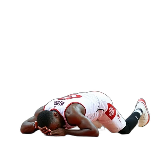 animal, basketball, player, lying transparent PNG cut-out