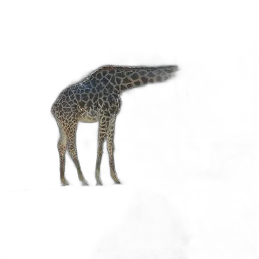 animal, creature, staff, hat transparent PNG cut-out
