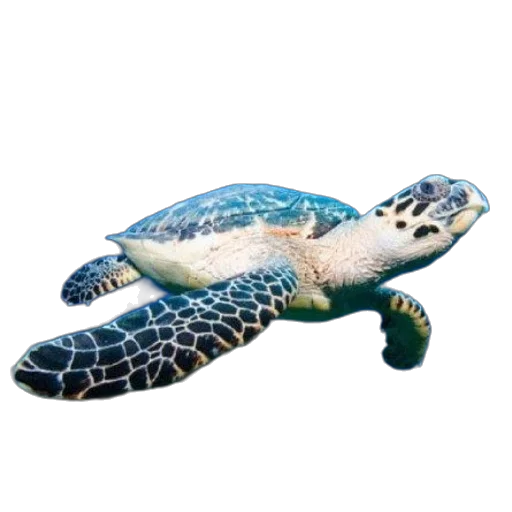 animal, creature, 3d render, photorealistic transparent PNG cut-out