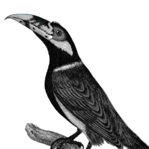 animal, staff, creature, jewelry transparent PNG cut-out