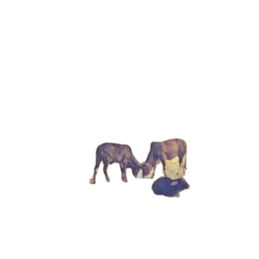 animal, creature, furniture, umbrella transparent PNG cut-out