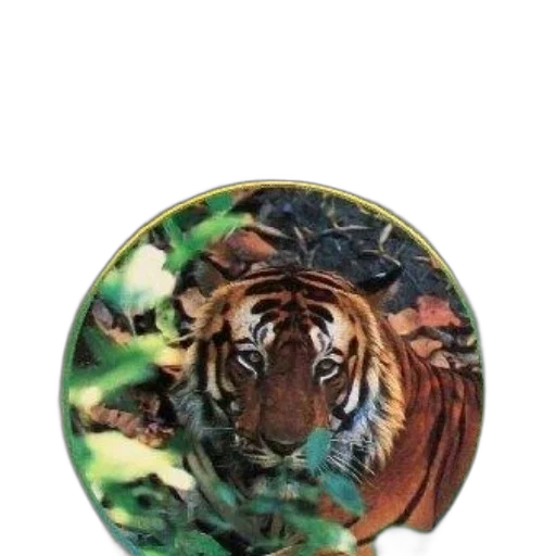 jewelry, animal, photorealistic, fantasy art transparent PNG cut-out