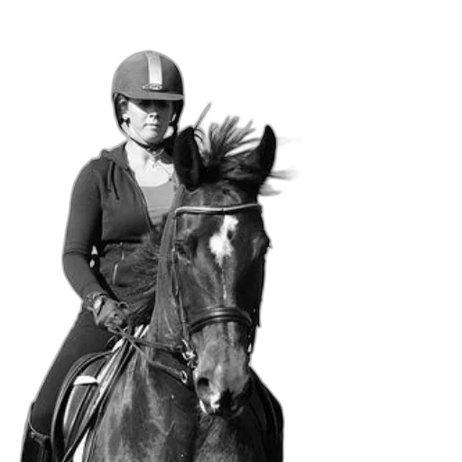 staff, animal, black-and-white, photo transparent PNG cut-out
