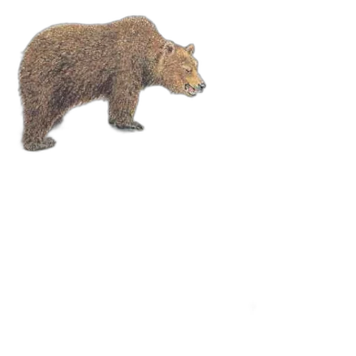 animal, creature, weapon, food transparent PNG cut-out