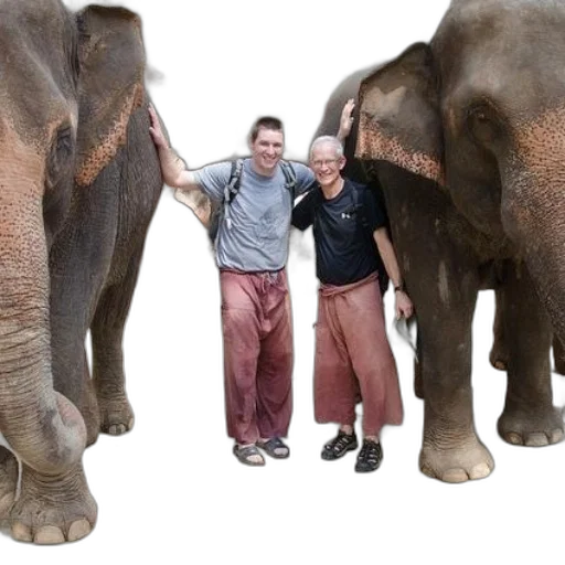 animal, staff, creature, two transparent PNG cut-out