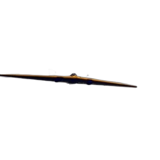 sword, weapon, staff, dragon transparent PNG cut-out